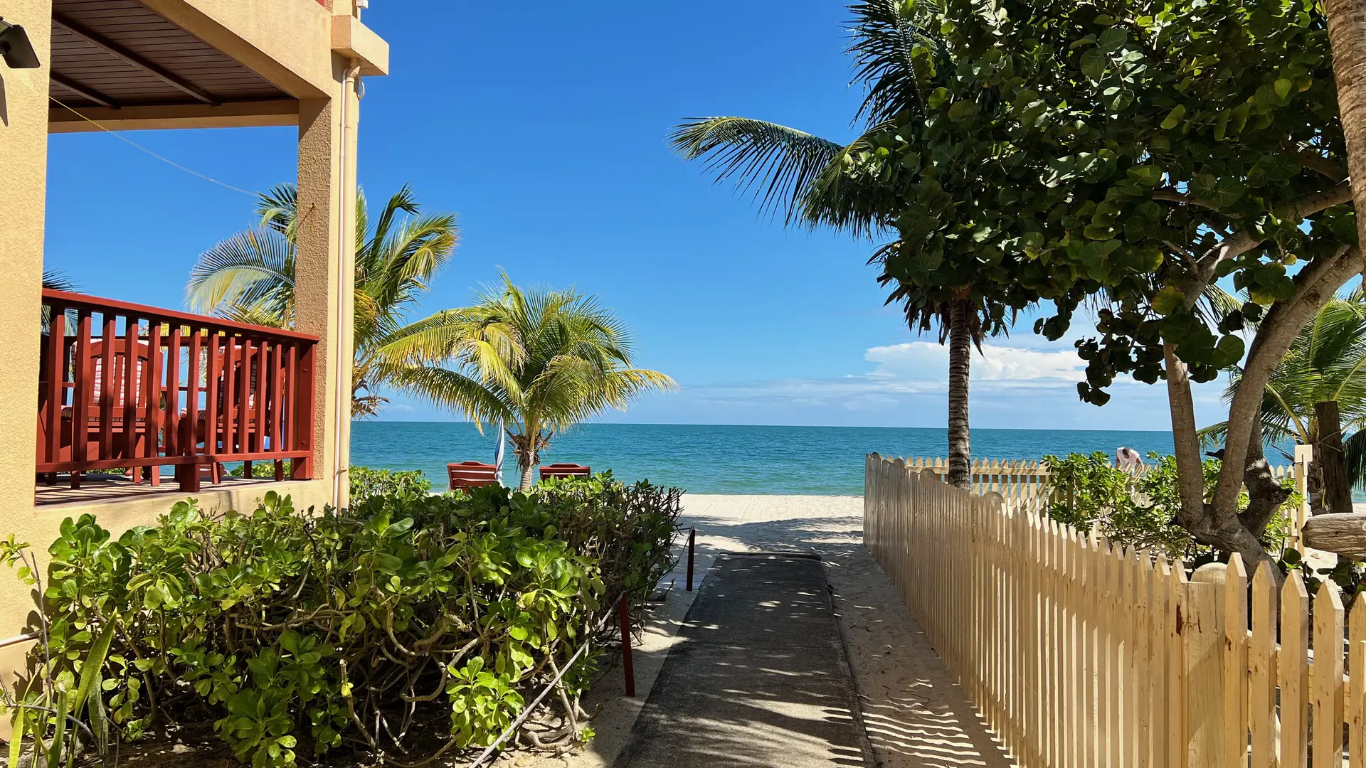 A sandy path lined with palm trees leading to the beach in Placencia, Belize