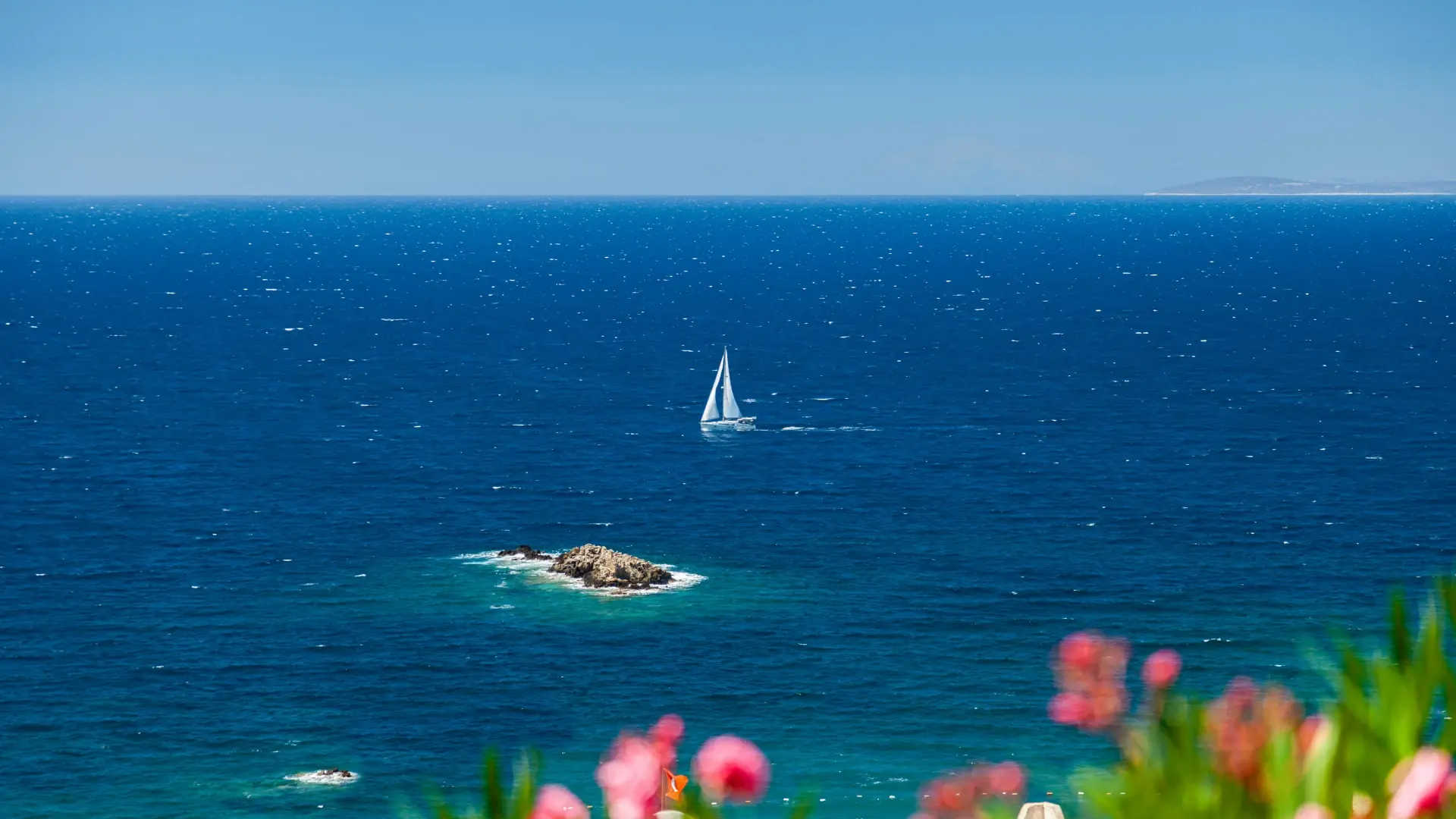 Aegean Sea view from Bodrum with sailboat and oleander flowers, Turkey