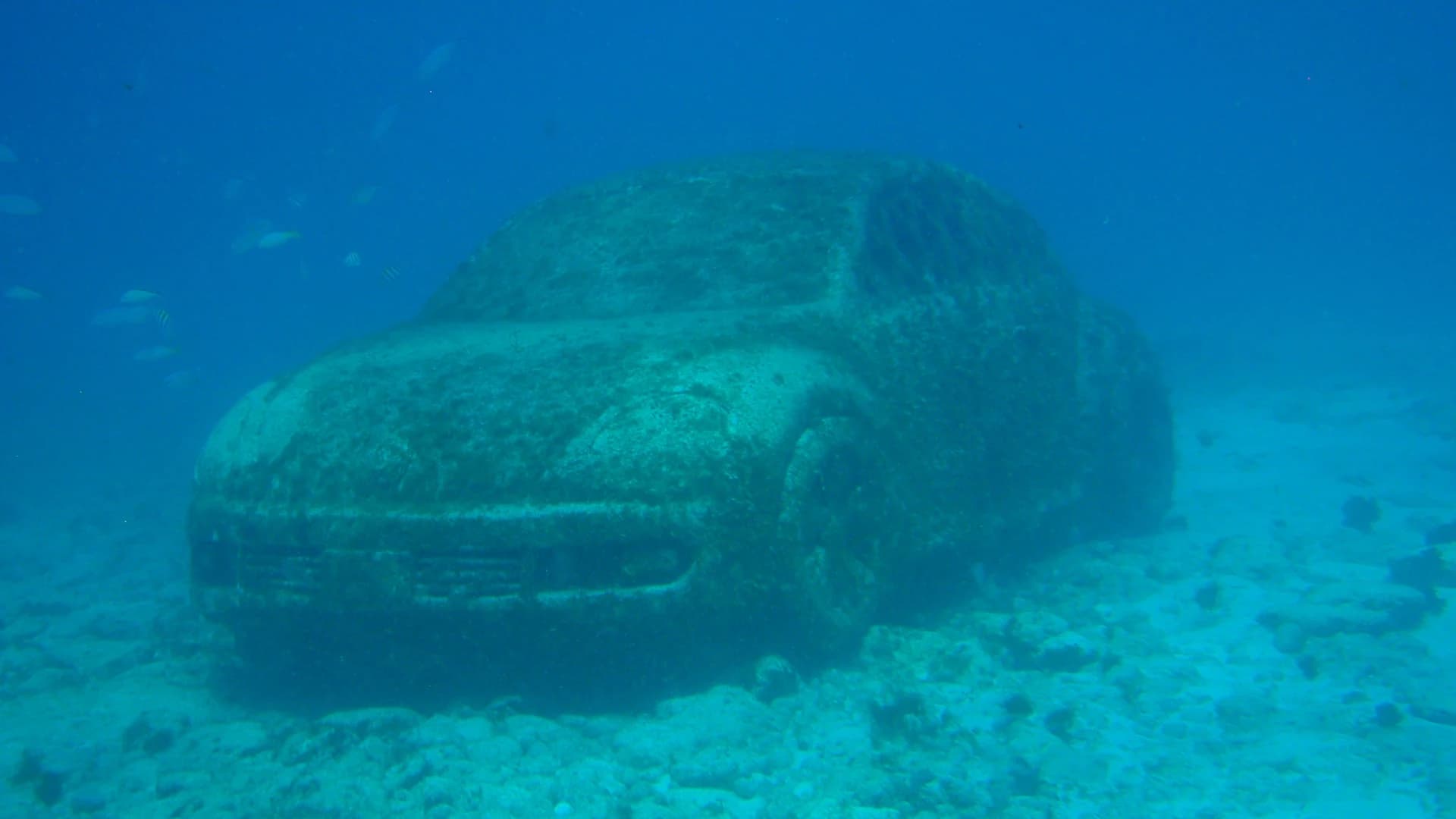 Coral-encrusted Volkswagen Beetle sculpture at the MUSA underwater museum between Cancún and Isla Mujeres