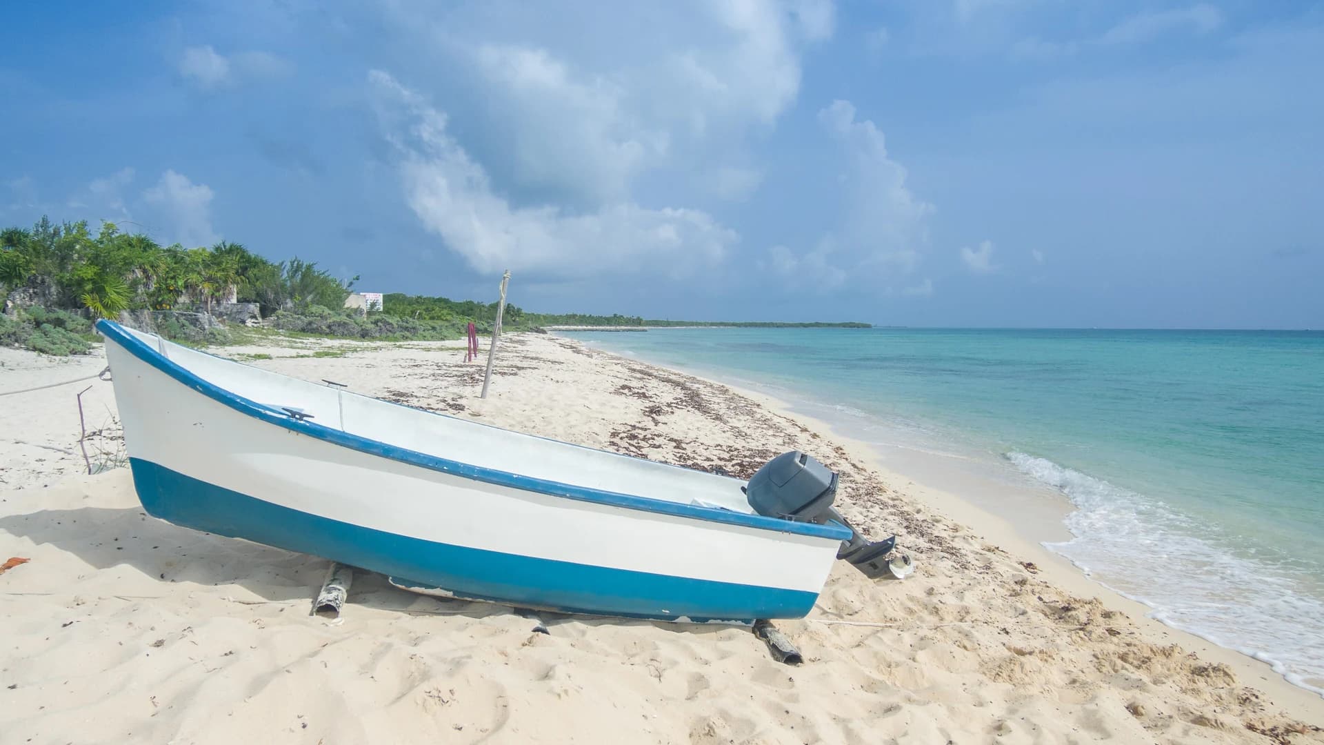 White-sand shore and shallow turquoise water on Cozumel's sheltered west coast, Mexico