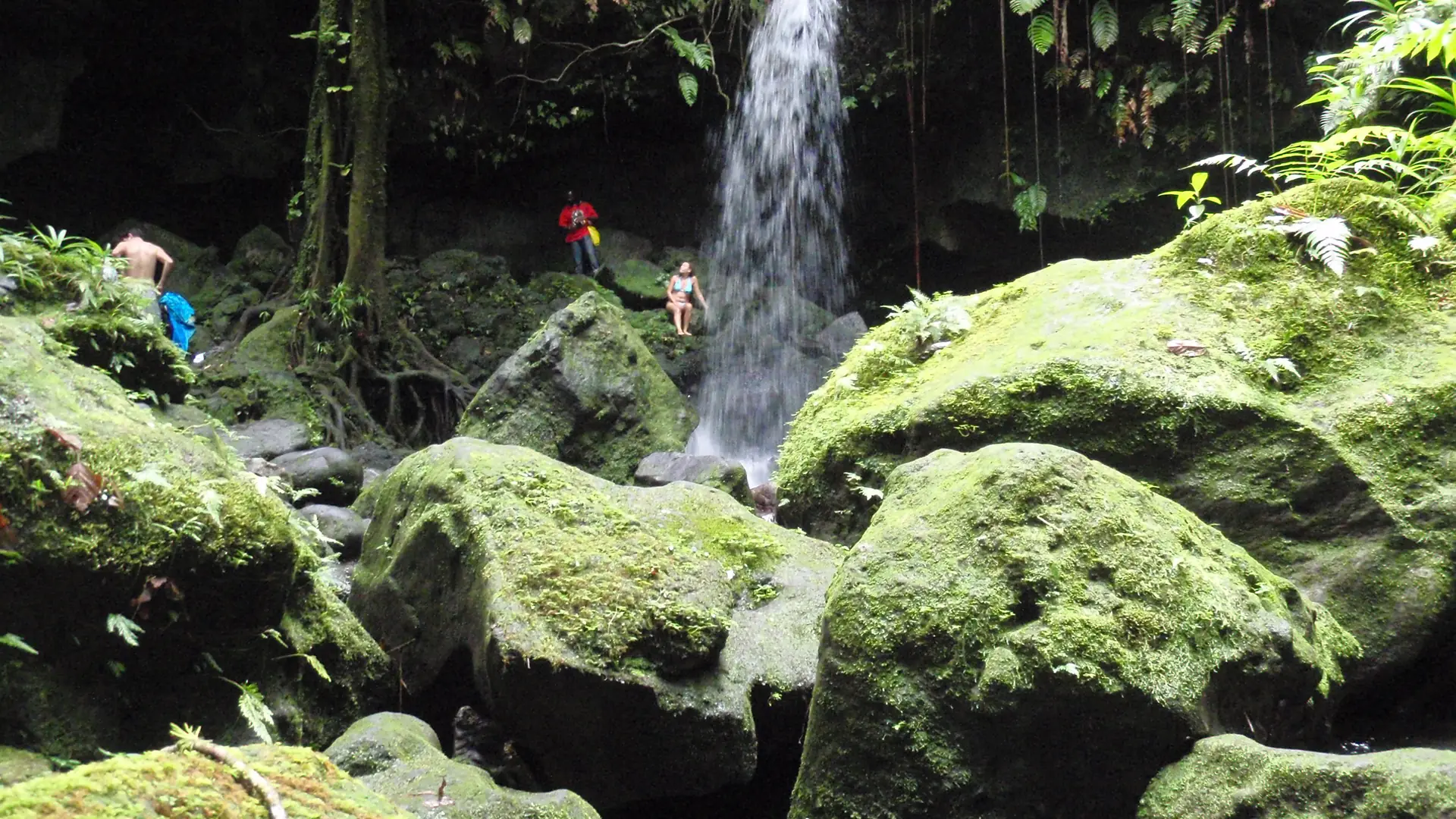 Swimmers at Emerald Pool waterfall, surrounded by moss-covered volcanic boulders, Dominica