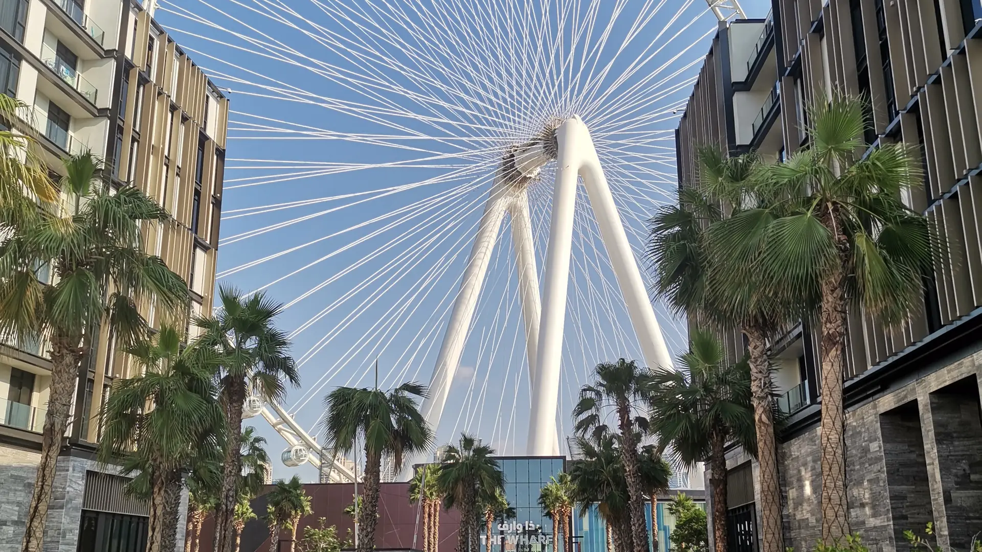 Ain Dubai observation wheel seen from Bluewaters Island, Dubai