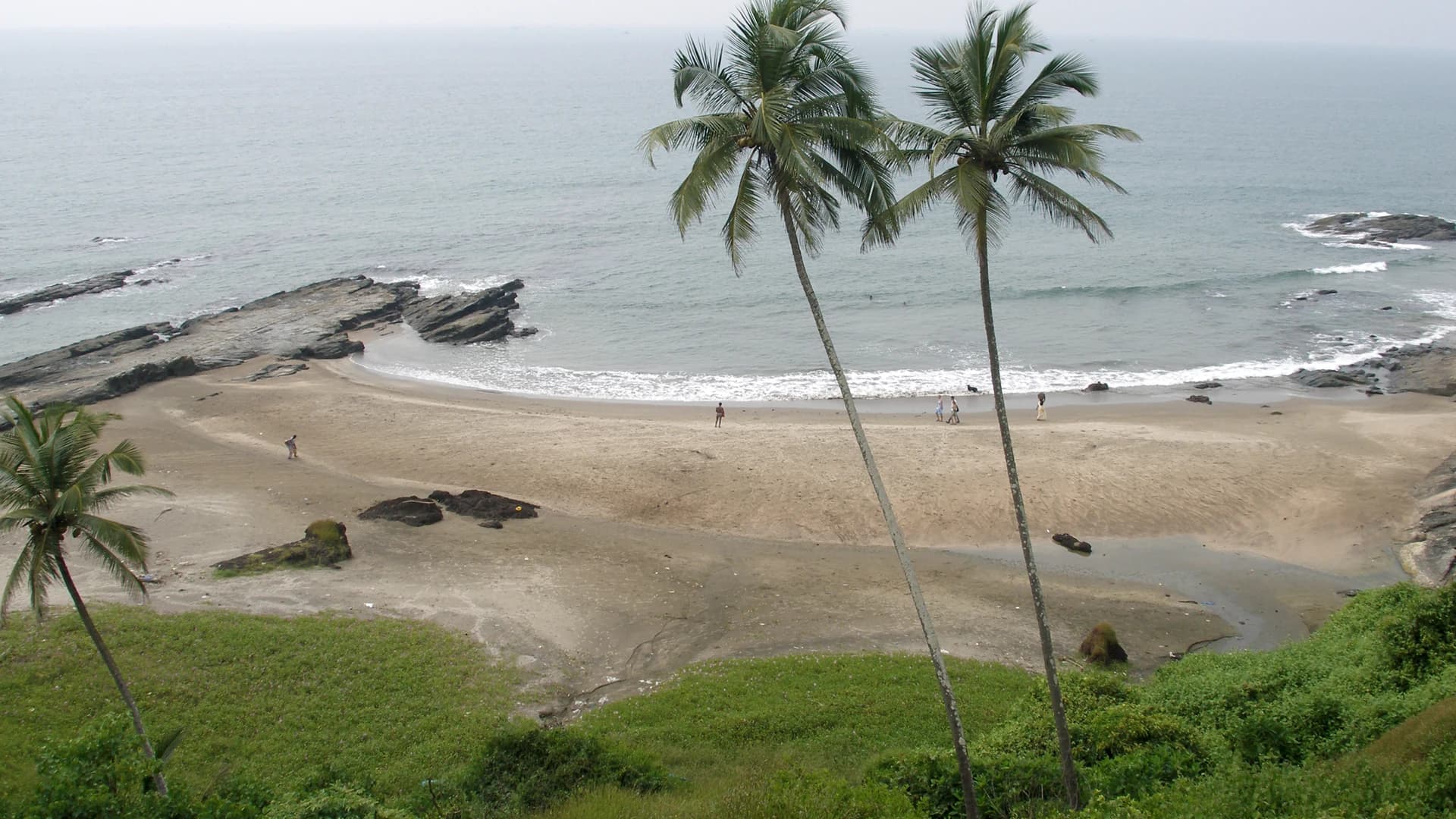 Vagator Beach in Goa, India, with coconut palm trees framing the coastline