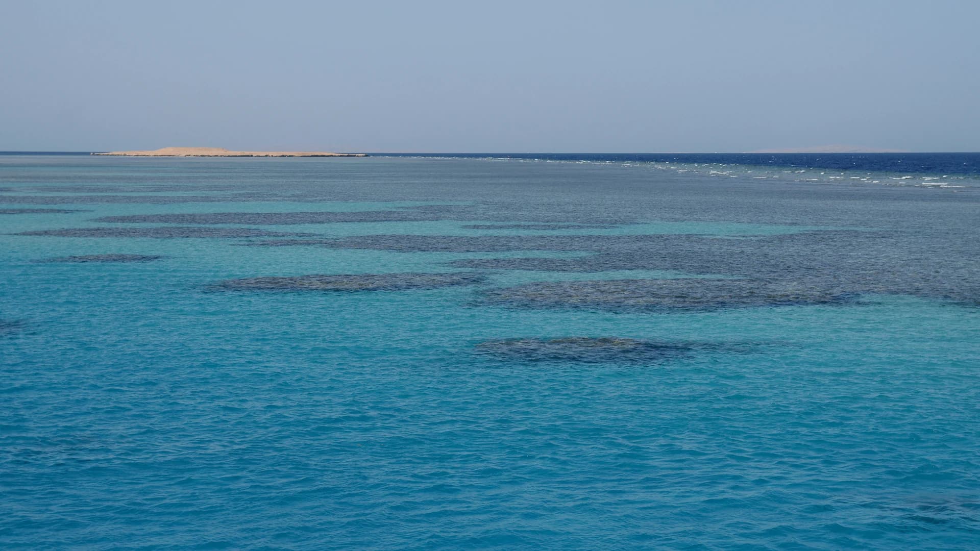 Coral reef visible beneath clear shallow water in the Red Sea, Egypt