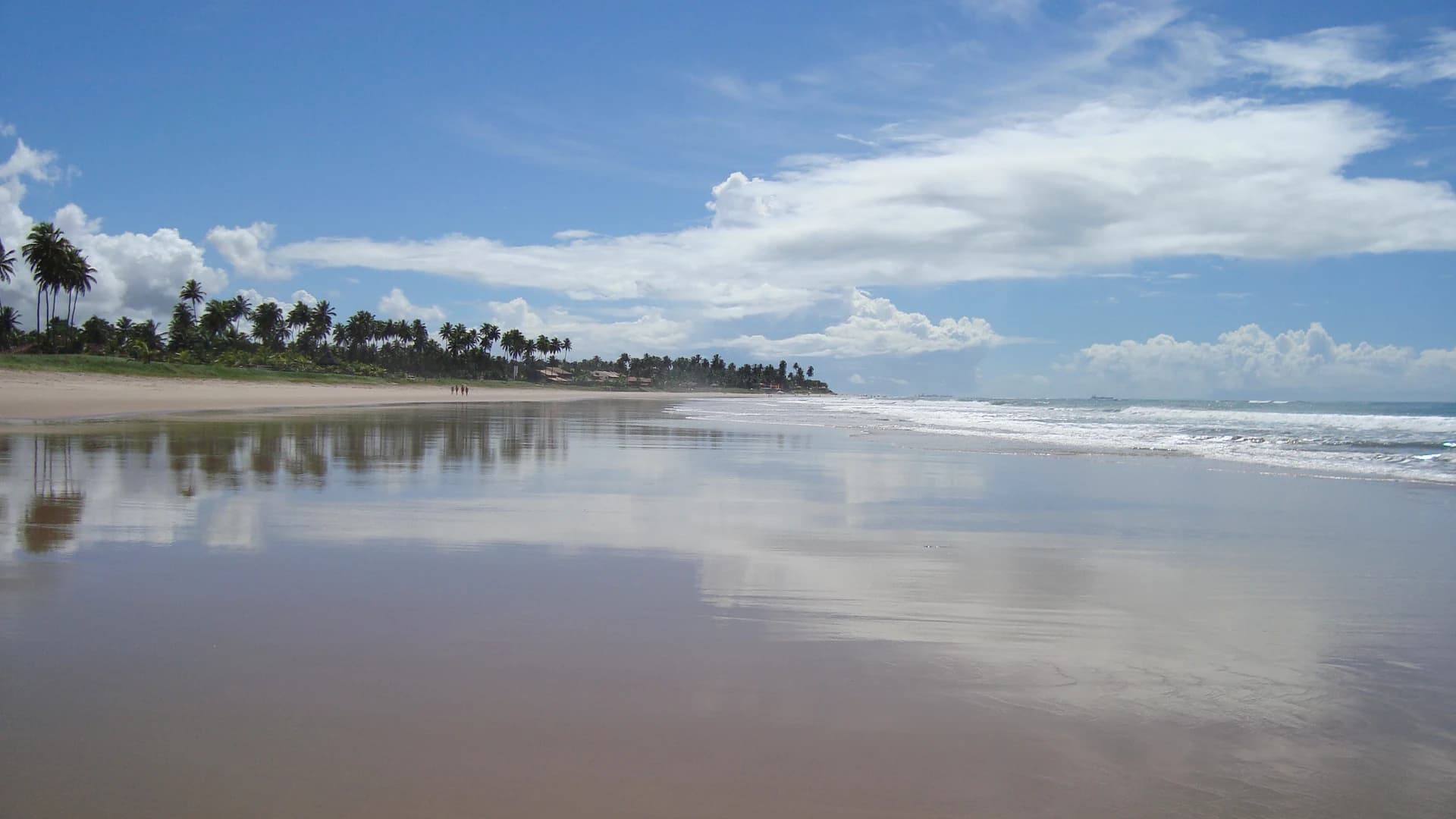 The long, palm-lined sand of Porto de Galinhas beach, Pernambuco, Brazil