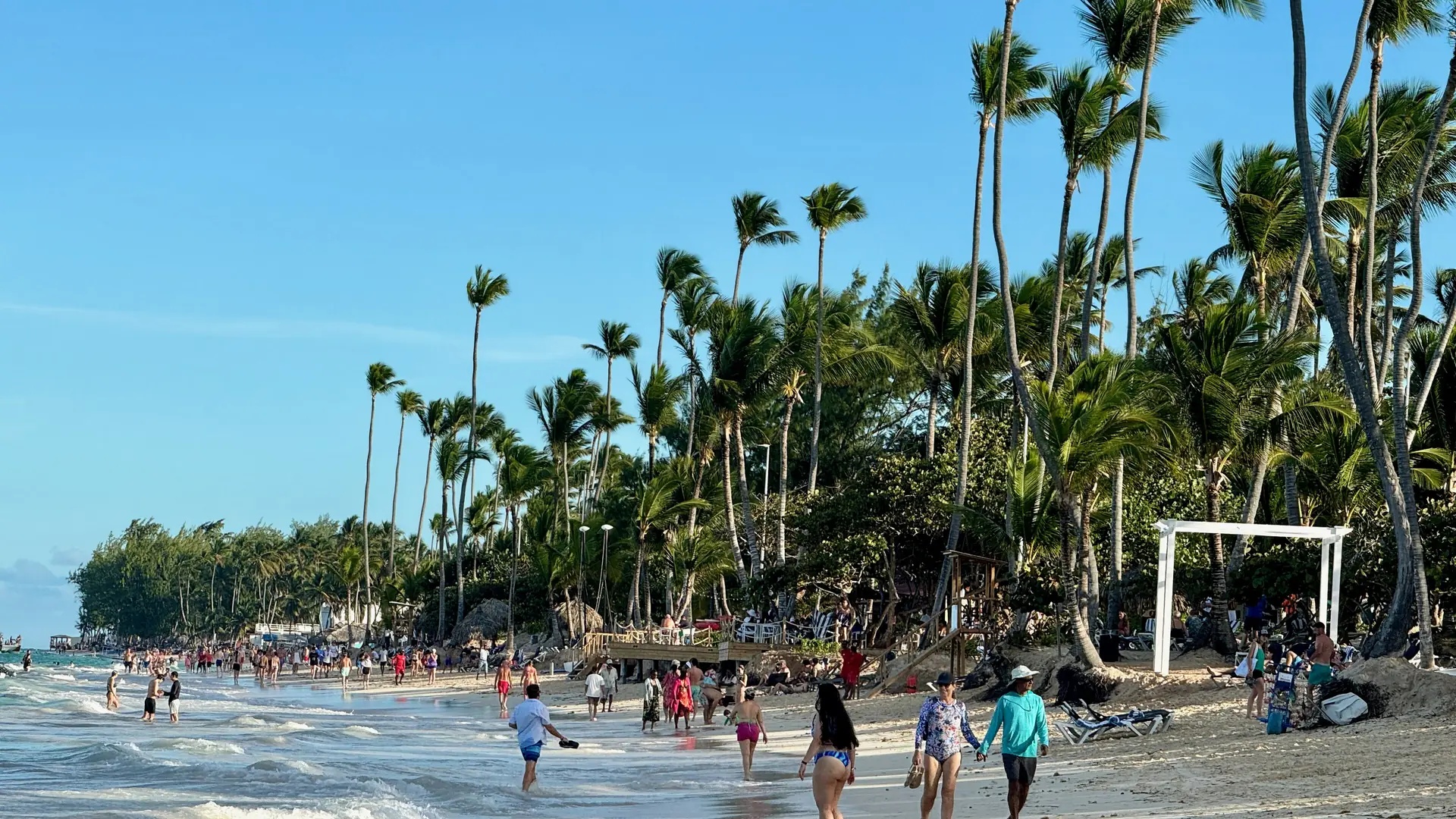 Palm trees along Bavaro Beach in Punta Cana, Dominican Republic