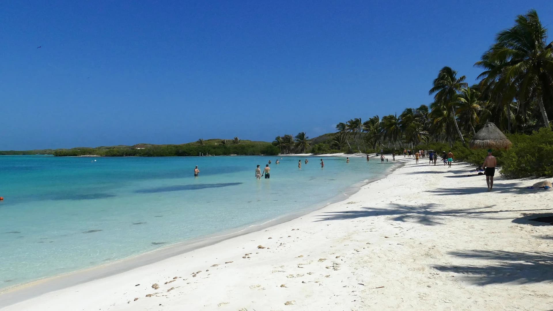 The white sand beach and shallow turquoise water of Isla Contoy, Quintana Roo, Mexico
