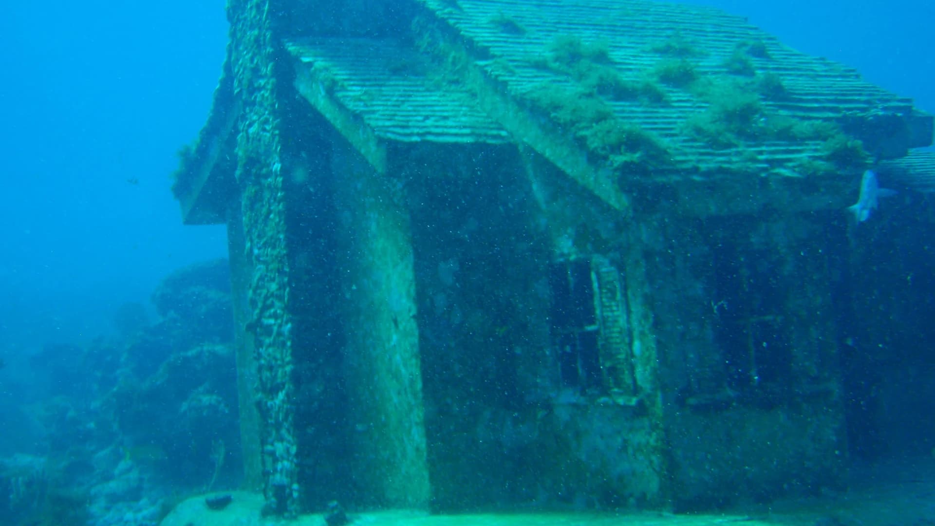 Coral-covered house sculpture at the MUSA underwater museum near Cancún, Mexico