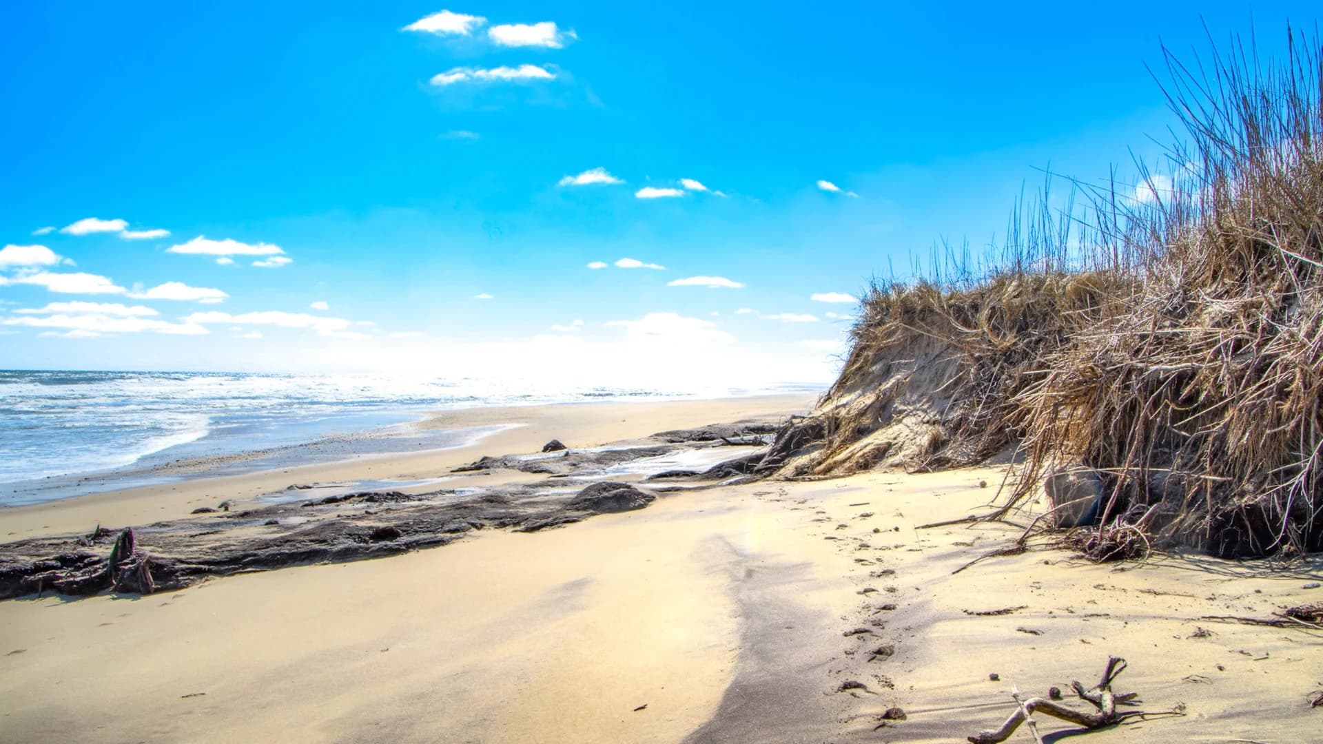 Sand, surf and dune grass at Coast Guard Beach, Eastham, on Cape Cod, Massachusetts