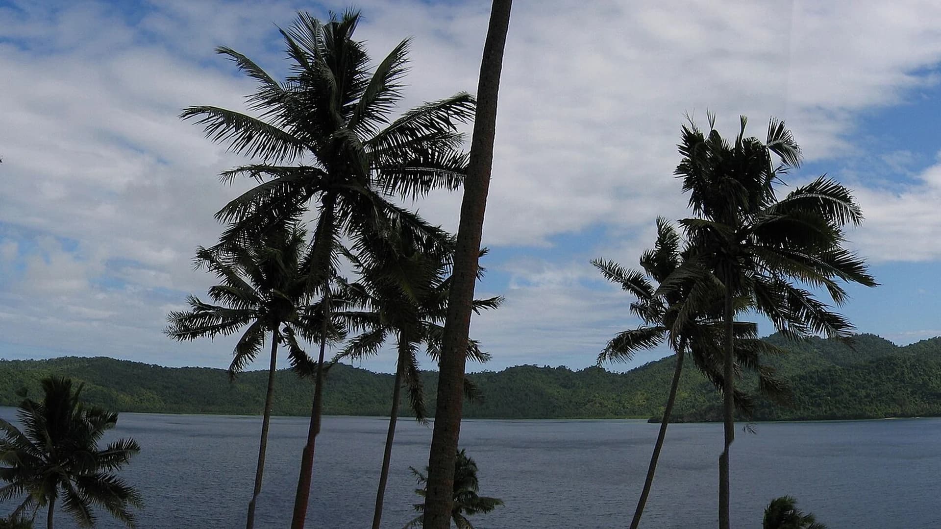 Palm trees and calm water near Qamea, close to Laucala Island, Fiji
