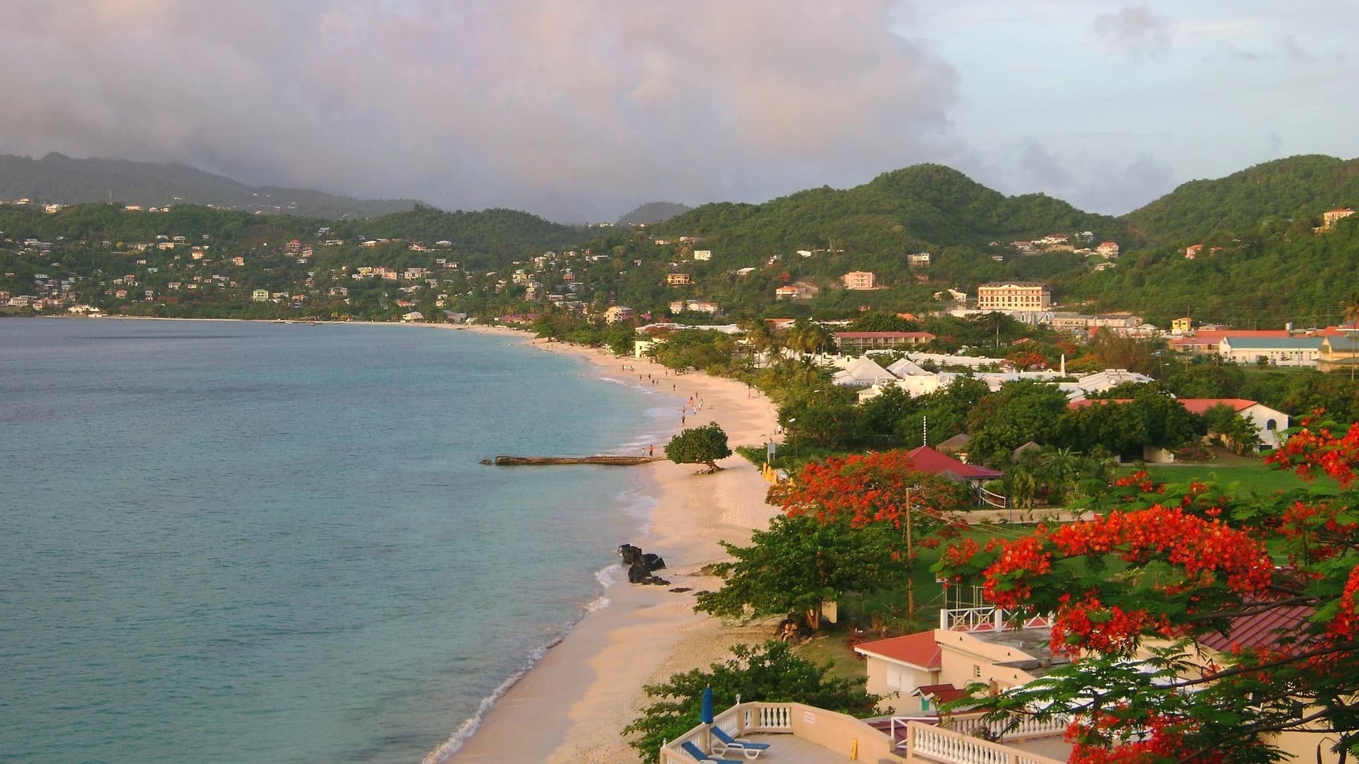 Grand Anse Beach, Grenada, with flame trees in bloom above the shoreline