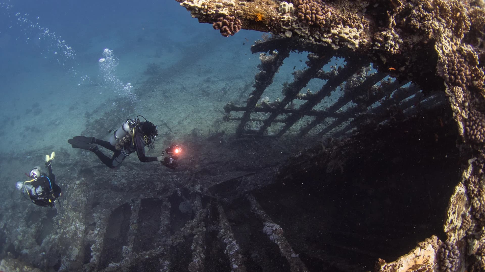 Divers exploring a coral-covered shipwreck in the Red Sea, Egypt