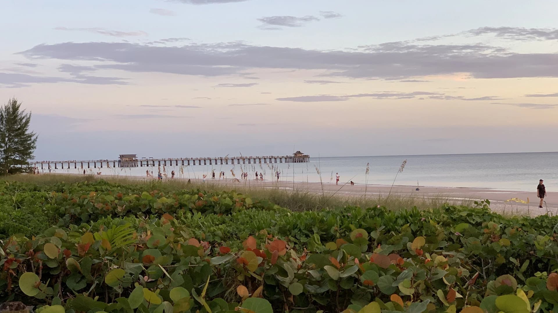 Naples Pier and beach at sunset, Gulf of Mexico, Florida
