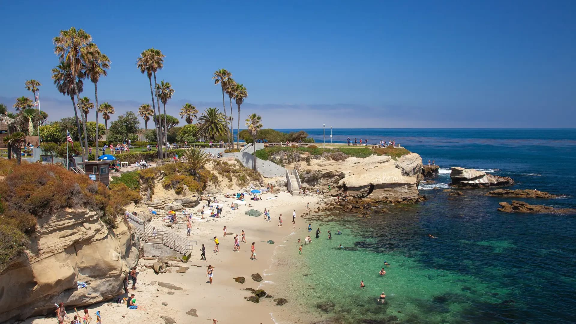 La Jolla Cove beach with palm trees and turquoise water, San Diego, California